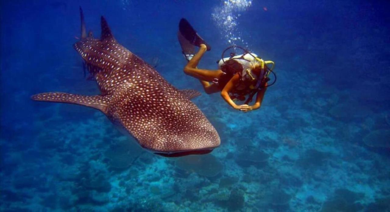 Batuta Maldives Inn Thulusdhoo Luaran gambar